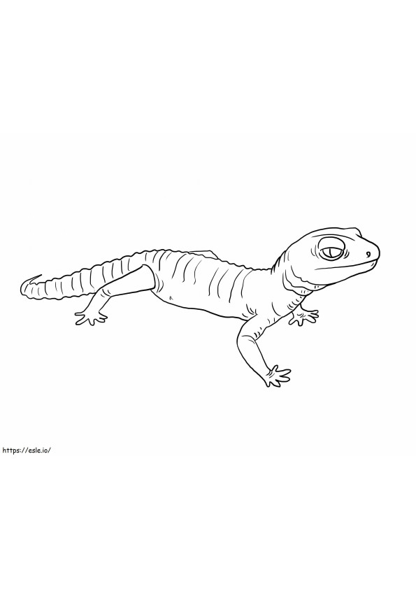 Gecko シンプル ぬりえ - 塗り絵