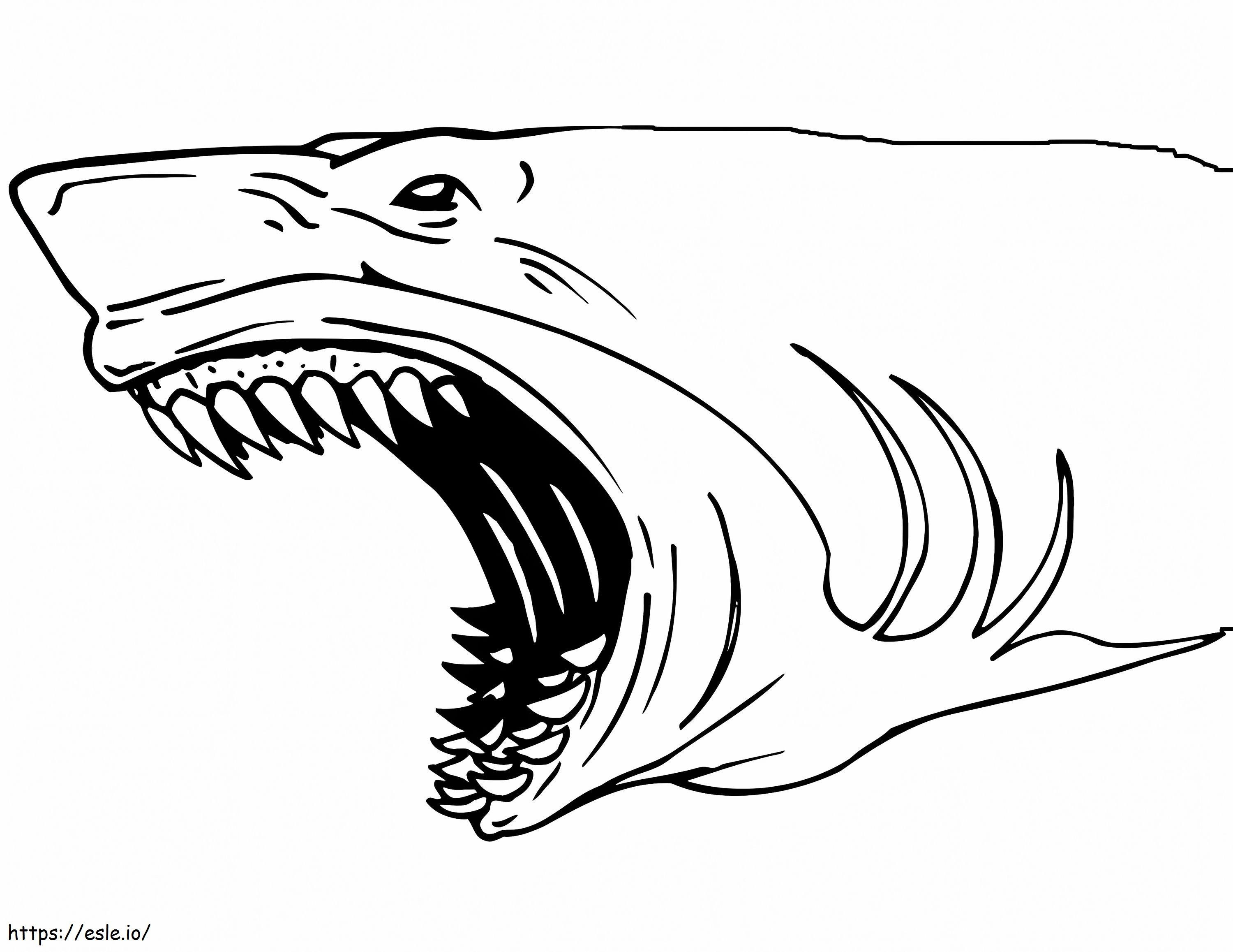 1541749107 Livro para colorir de clipart de tubarão 17 para colorir