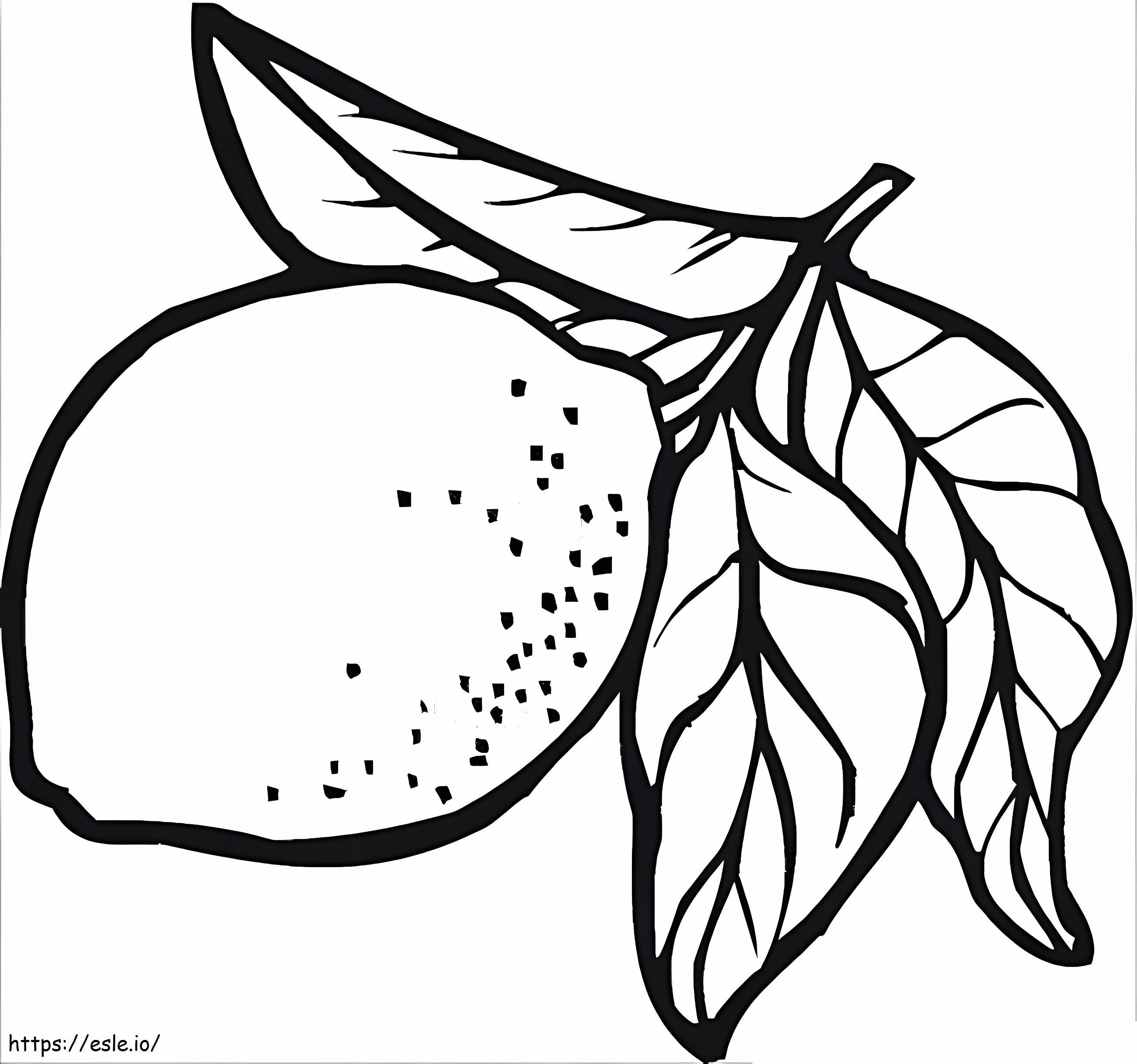 Lemon With Leaf coloring page