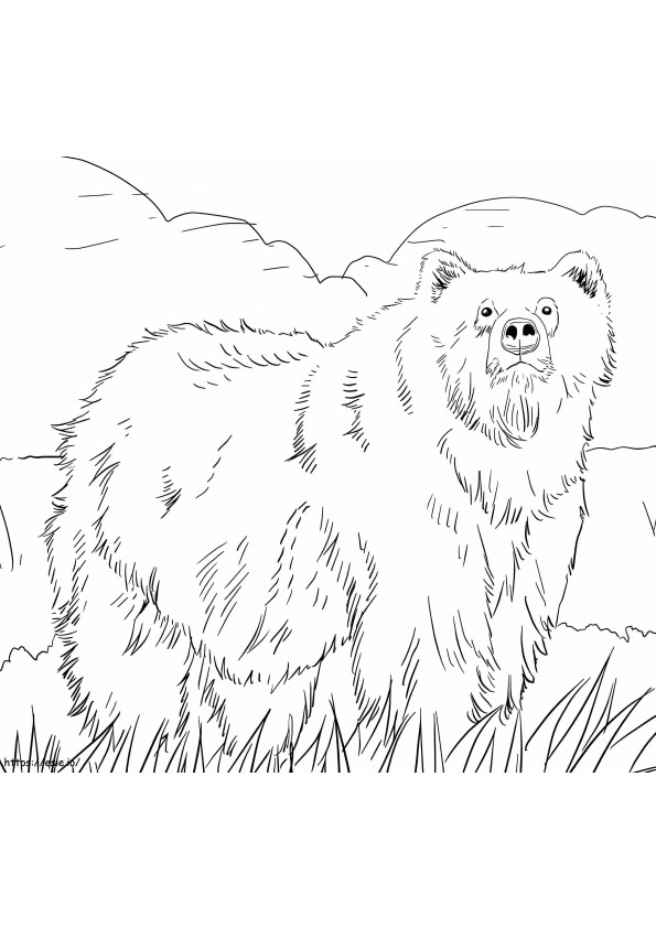 Urso Marrom Selvagem para colorir