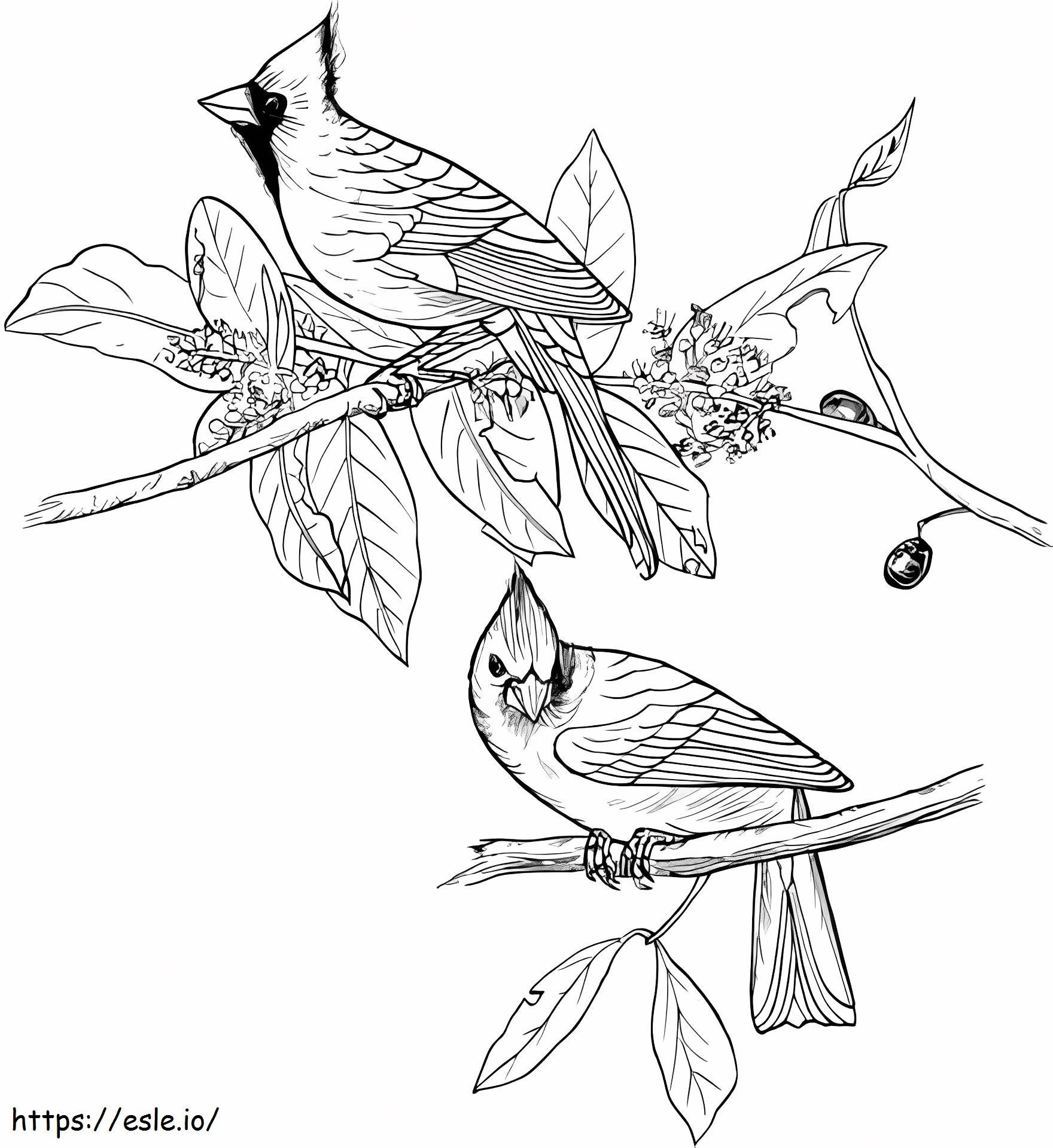Two Red Cardinals coloring page