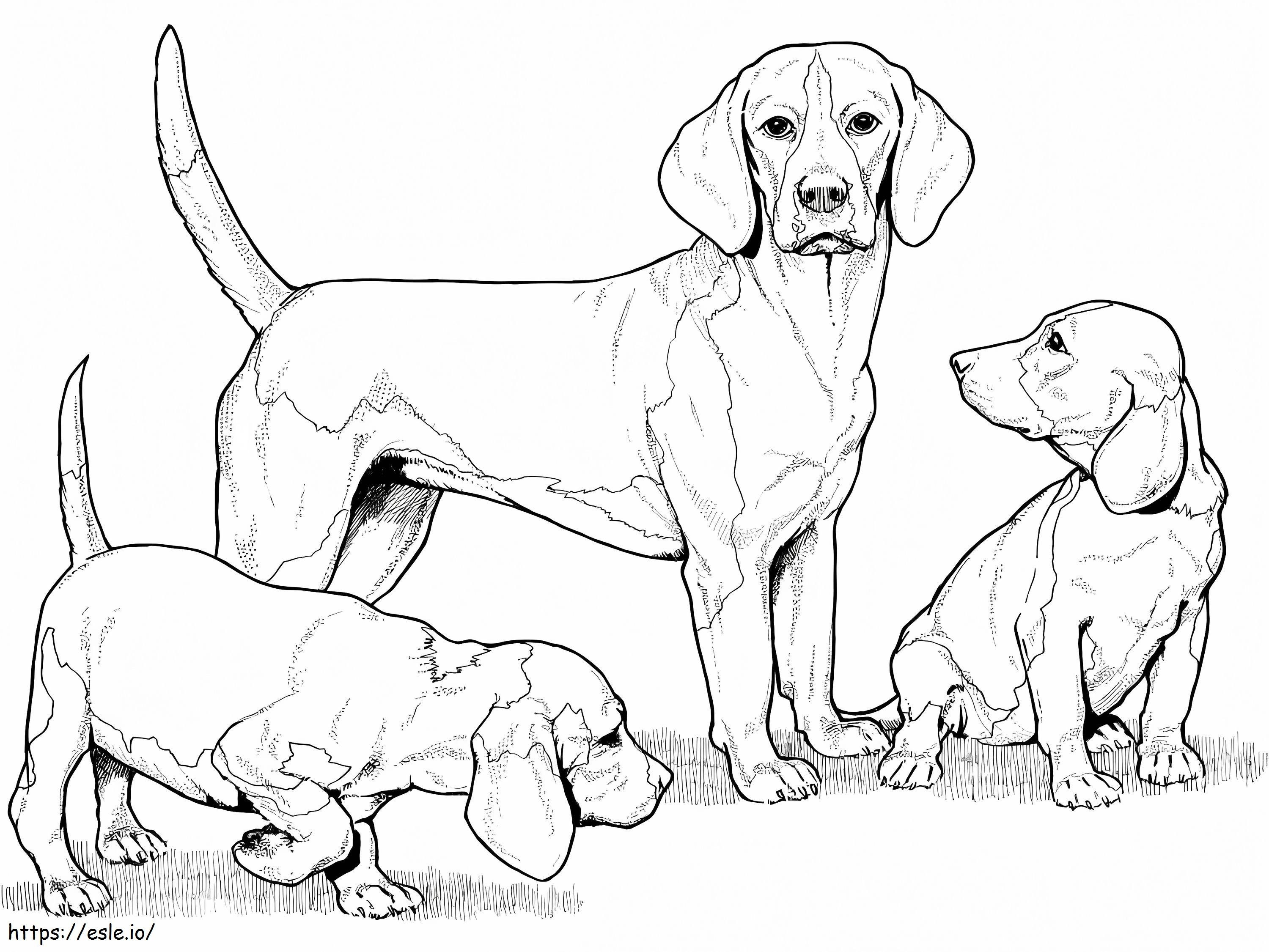 Coloriage Beagle avec des chiots à imprimer dessin