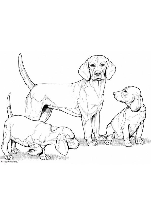 Beagle con i cuccioli da colorare