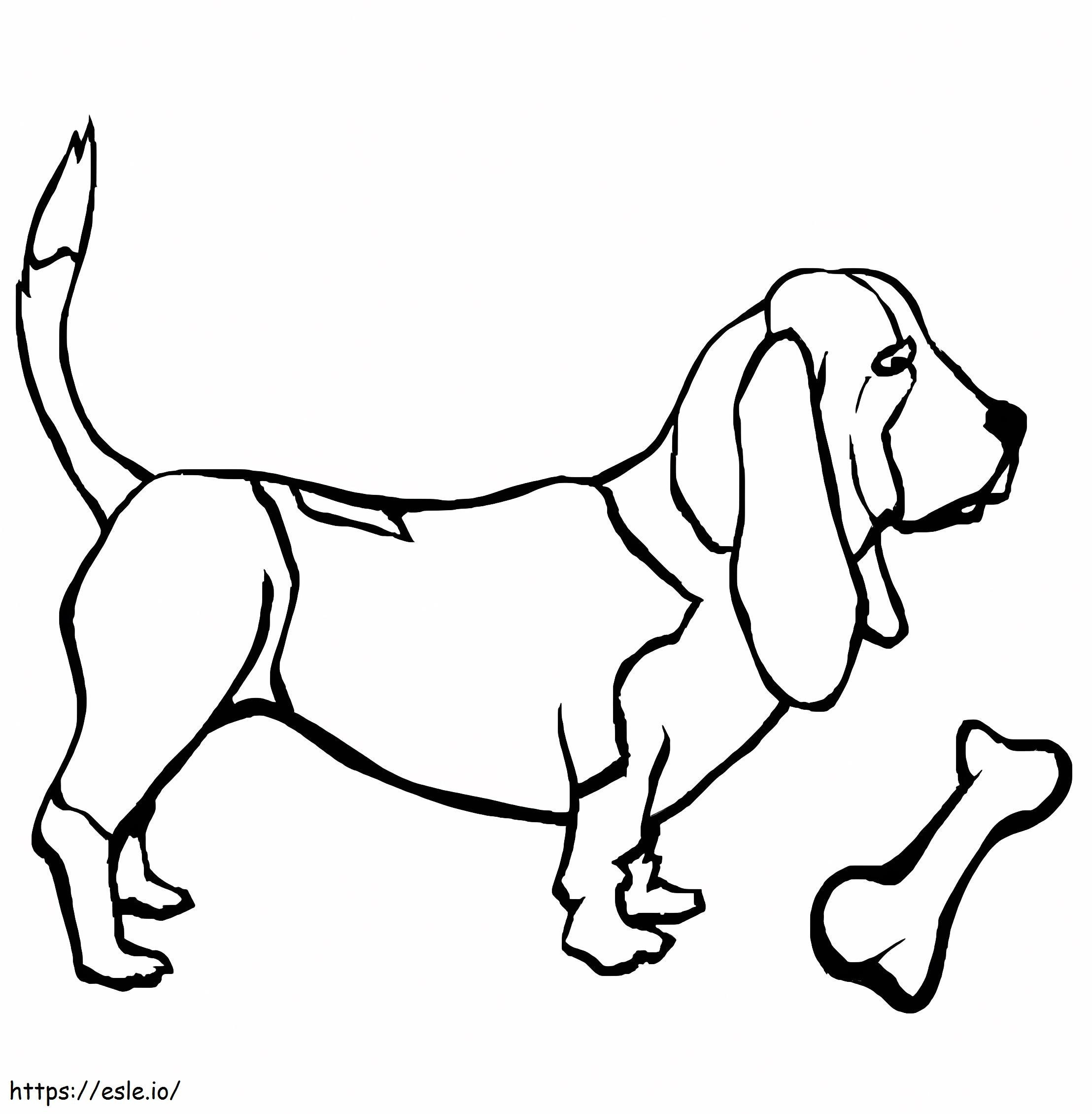 Basset Hound And Bone coloring page