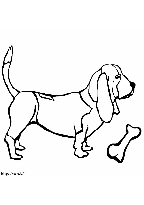 Basset Hound And Bone coloring page