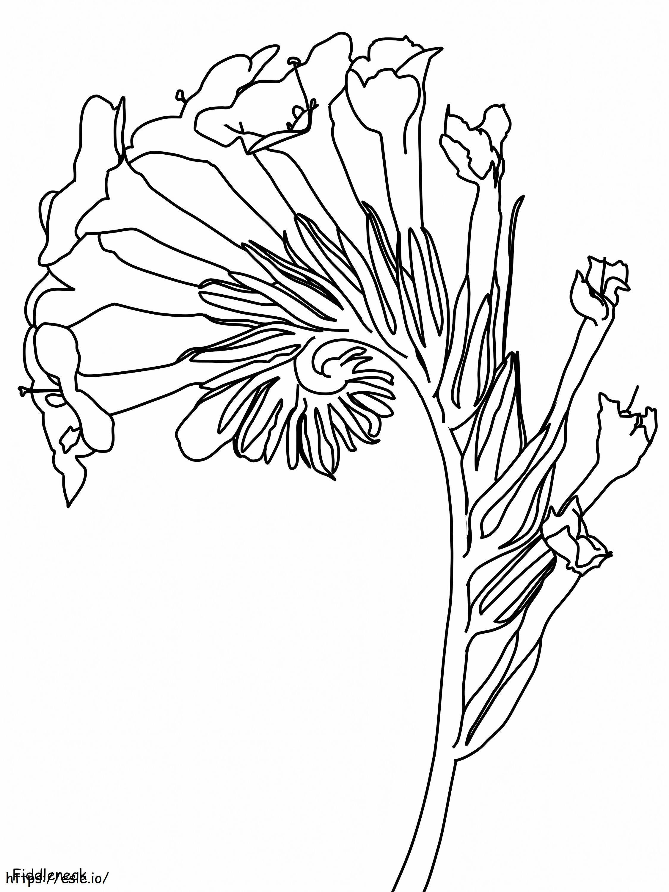 1528168302 Fiddlenecka4 coloring page