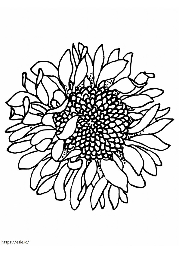 1542096506 Sunflower 8 coloring page