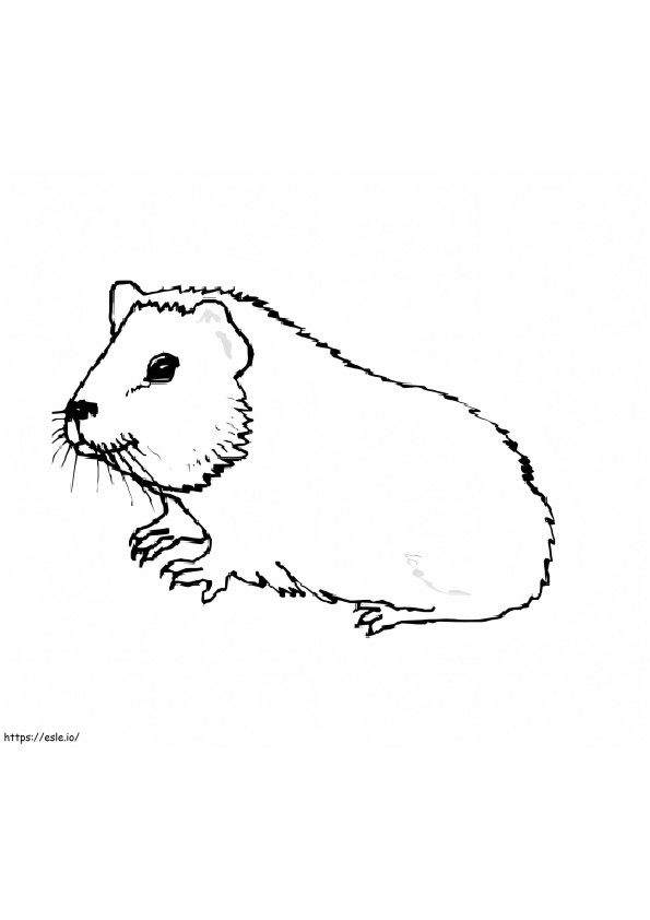 Simple Guinea Pig coloring page