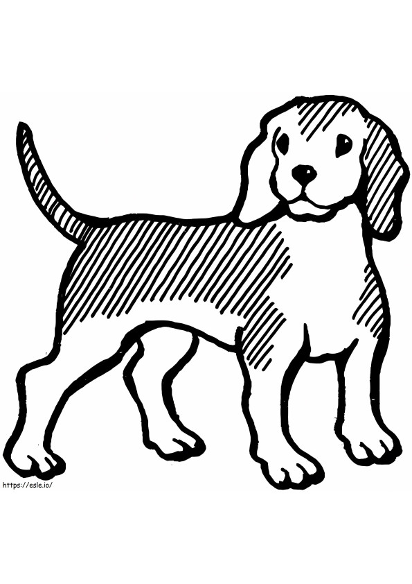 Beagle grátis para colorir