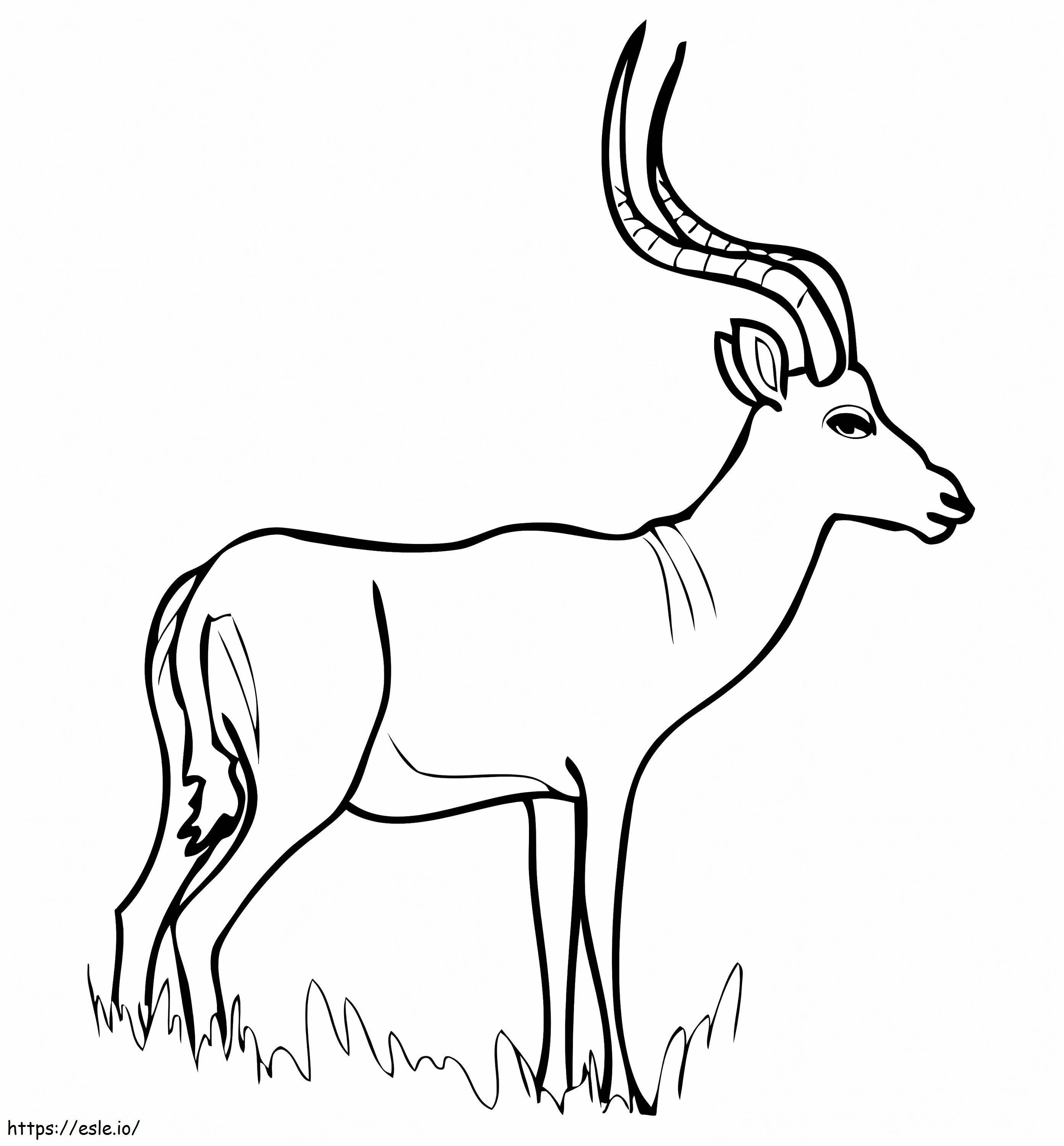 African Antelope Impala coloring page