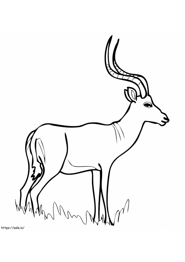 Afrikkalainen antilooppi Impala värityskuva