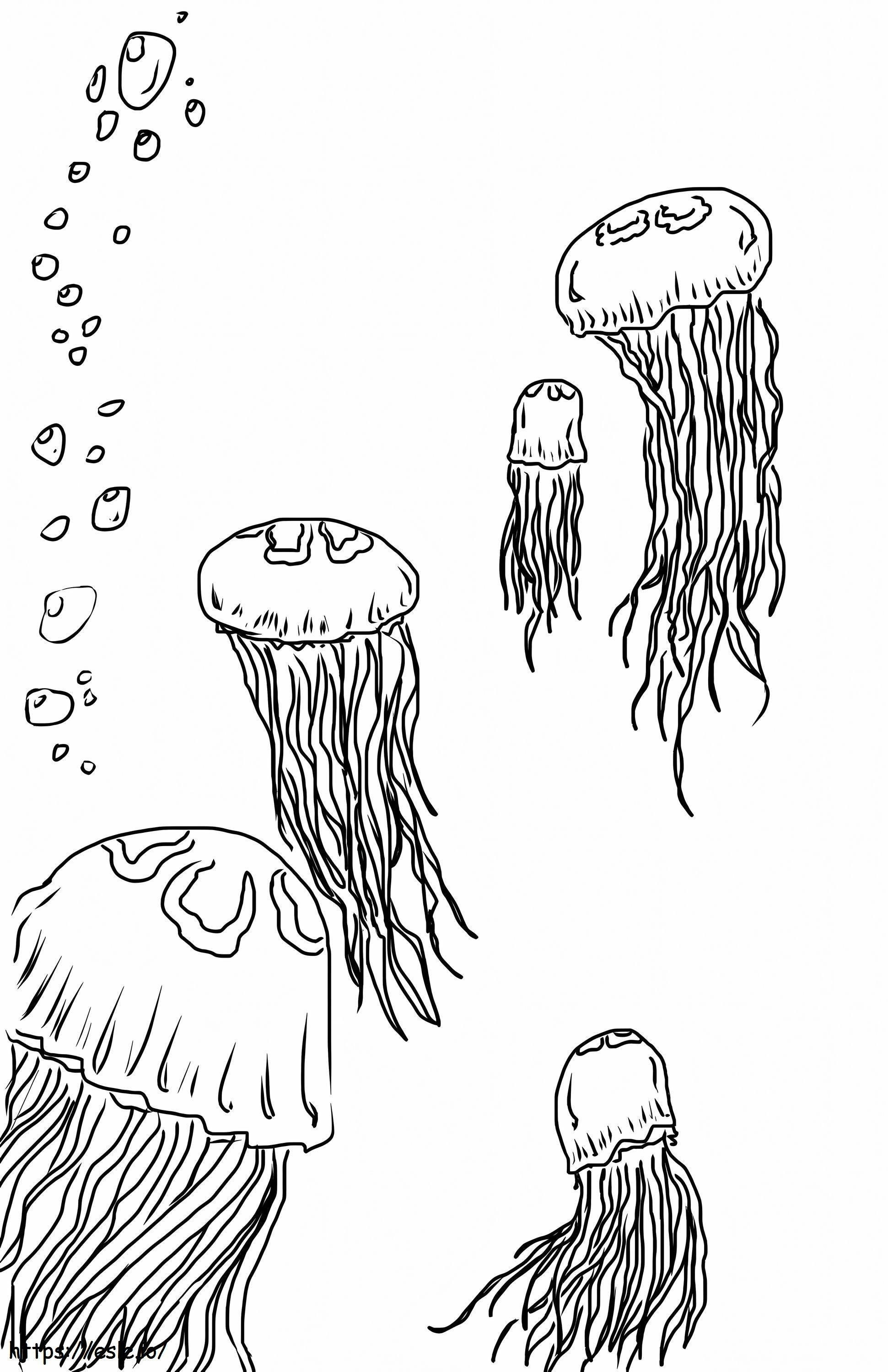 Viisi meduusaa värityskuva