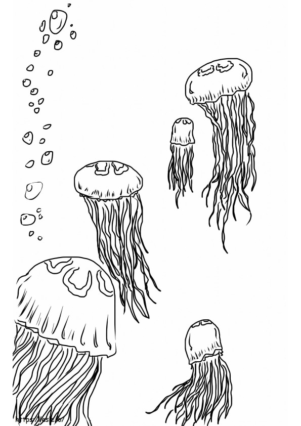 Five Jellyfish coloring page
