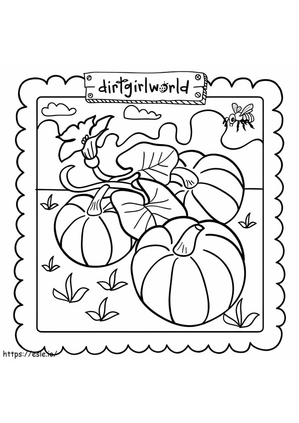 Free Pumpkin Patch coloring page