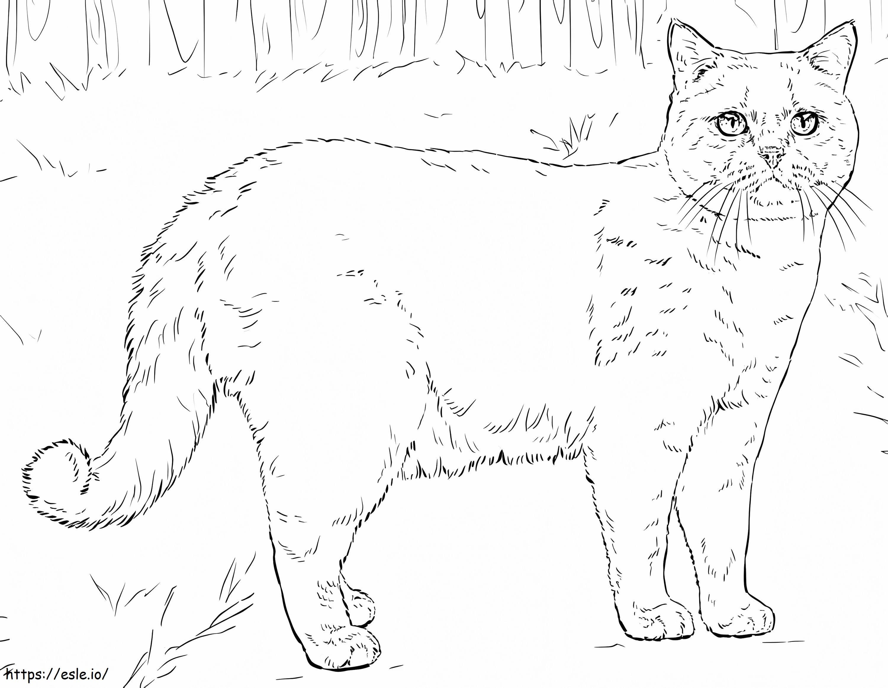 Chat 3: Ilmainen ja Tulostettava Värityskuva