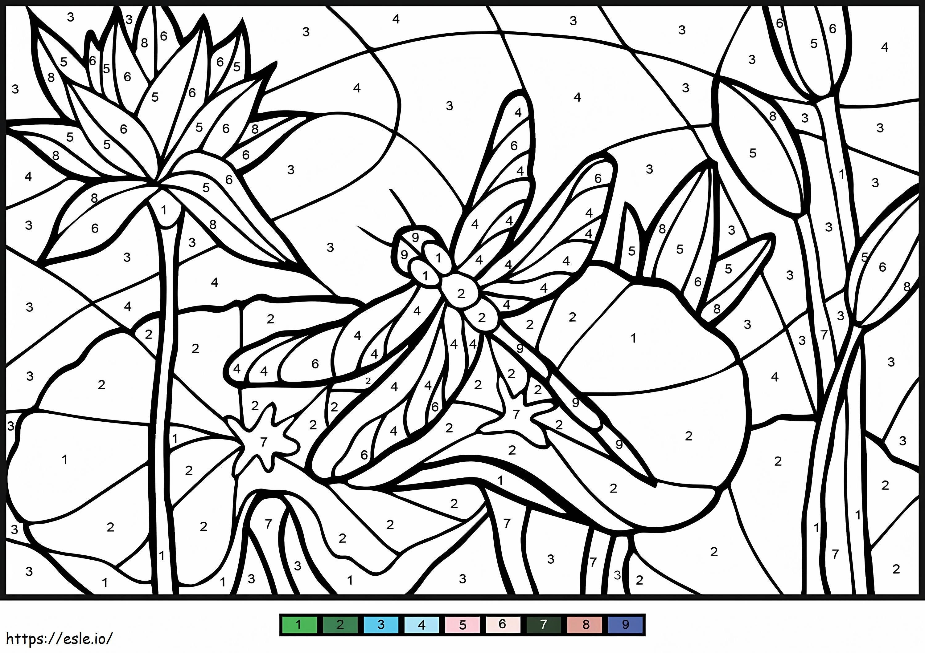 Dragonfly Color By Number coloring page