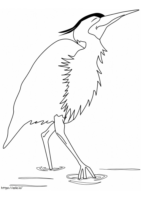 Happy Egret