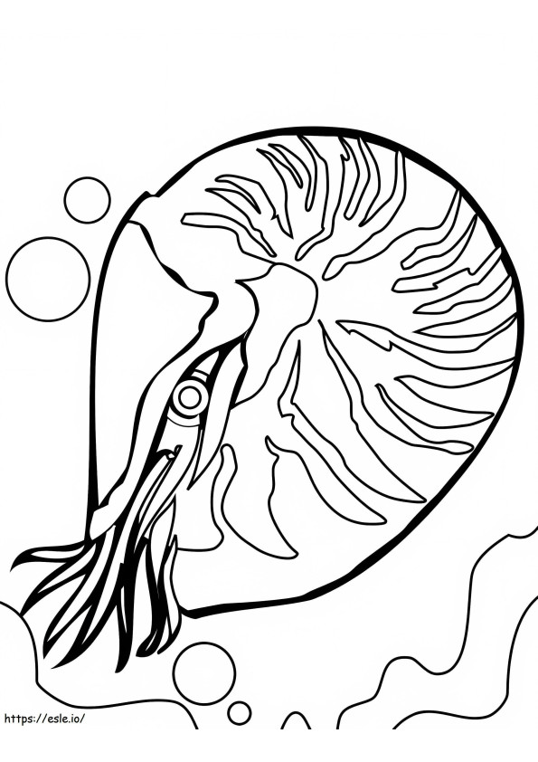 Coloriage Nautilus 2 à imprimer dessin