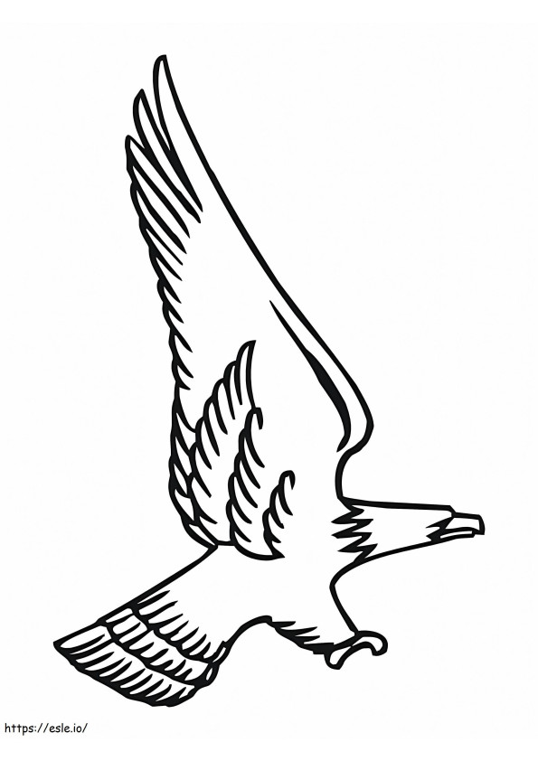 Attacking Bald Eagle coloring page