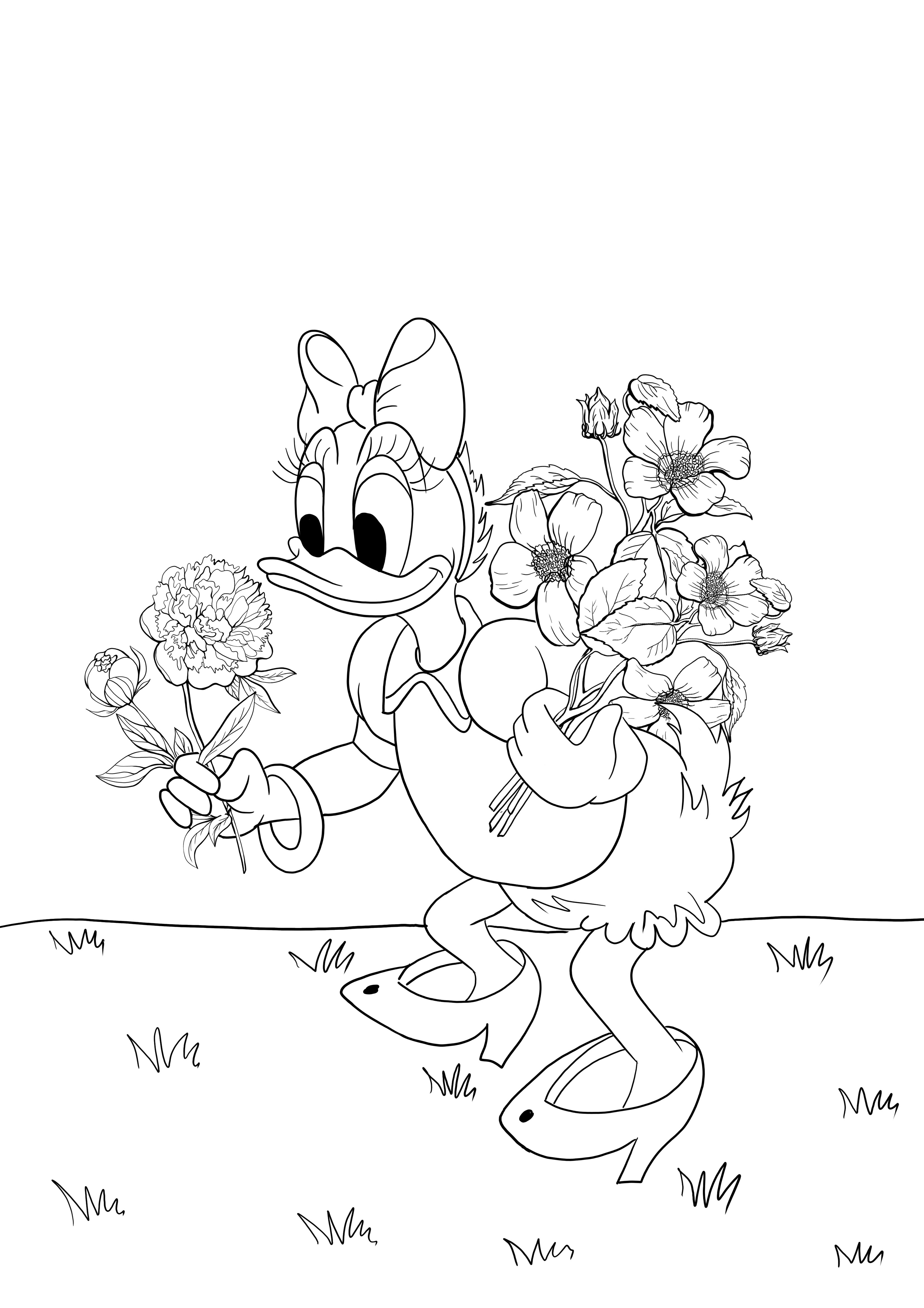 Daisy bloemen plukken voor gratis afdrukbare foto kleurplaat