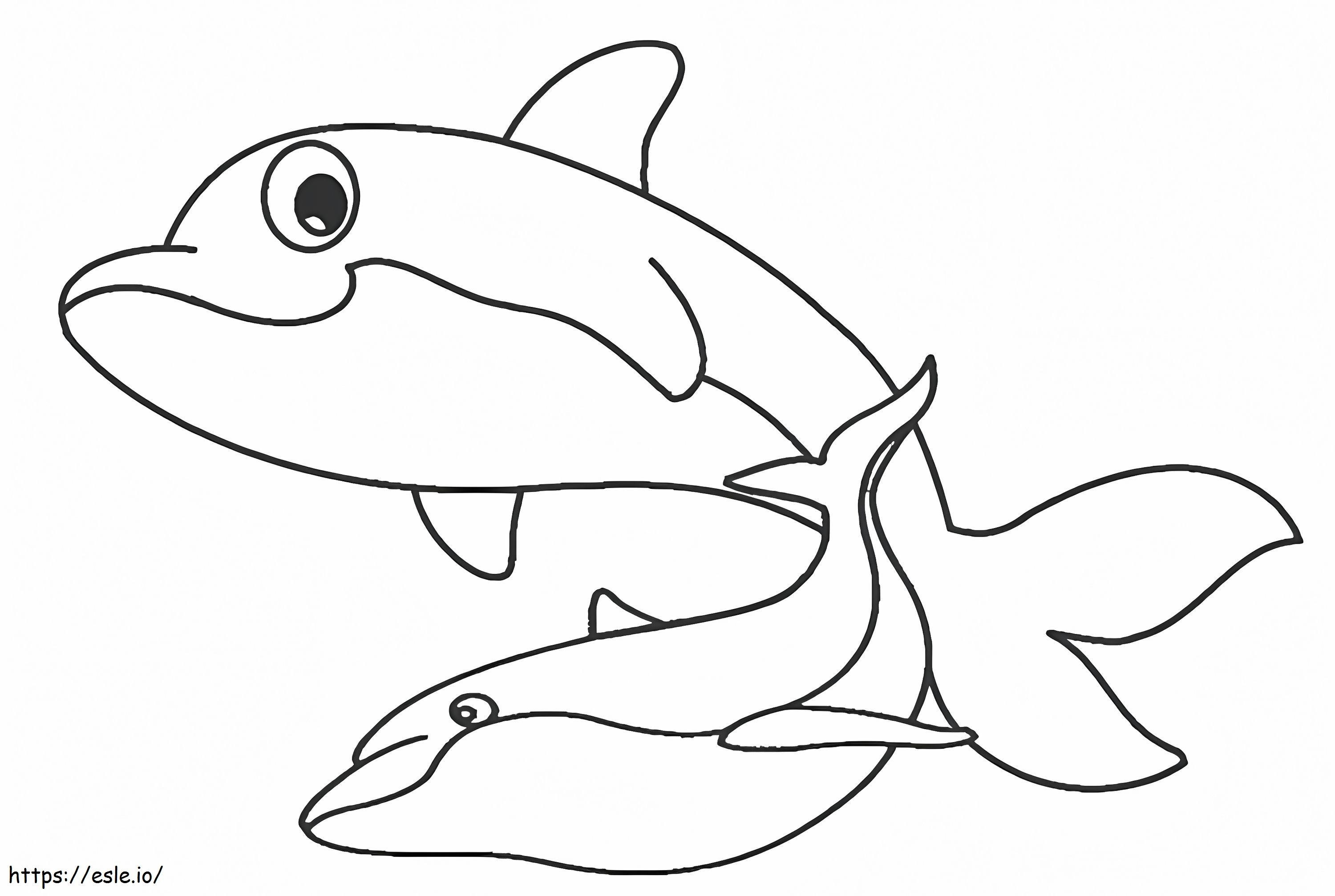 Golfinhos para impressão para colorir