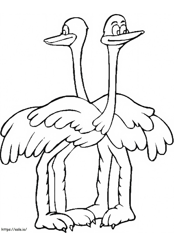 Twee Struisvogels kleurplaat
