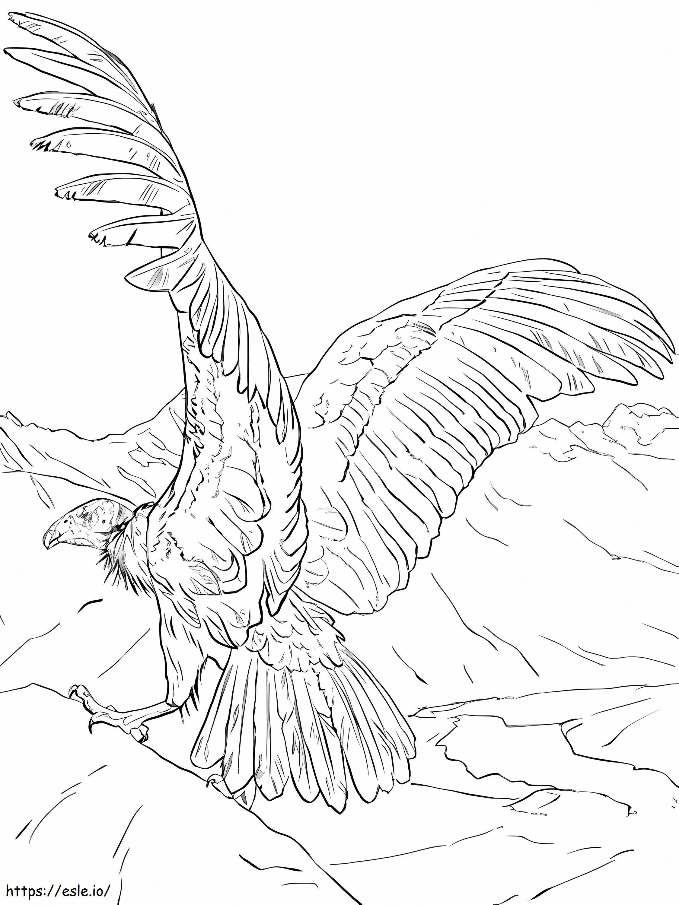 Good Condor coloring page