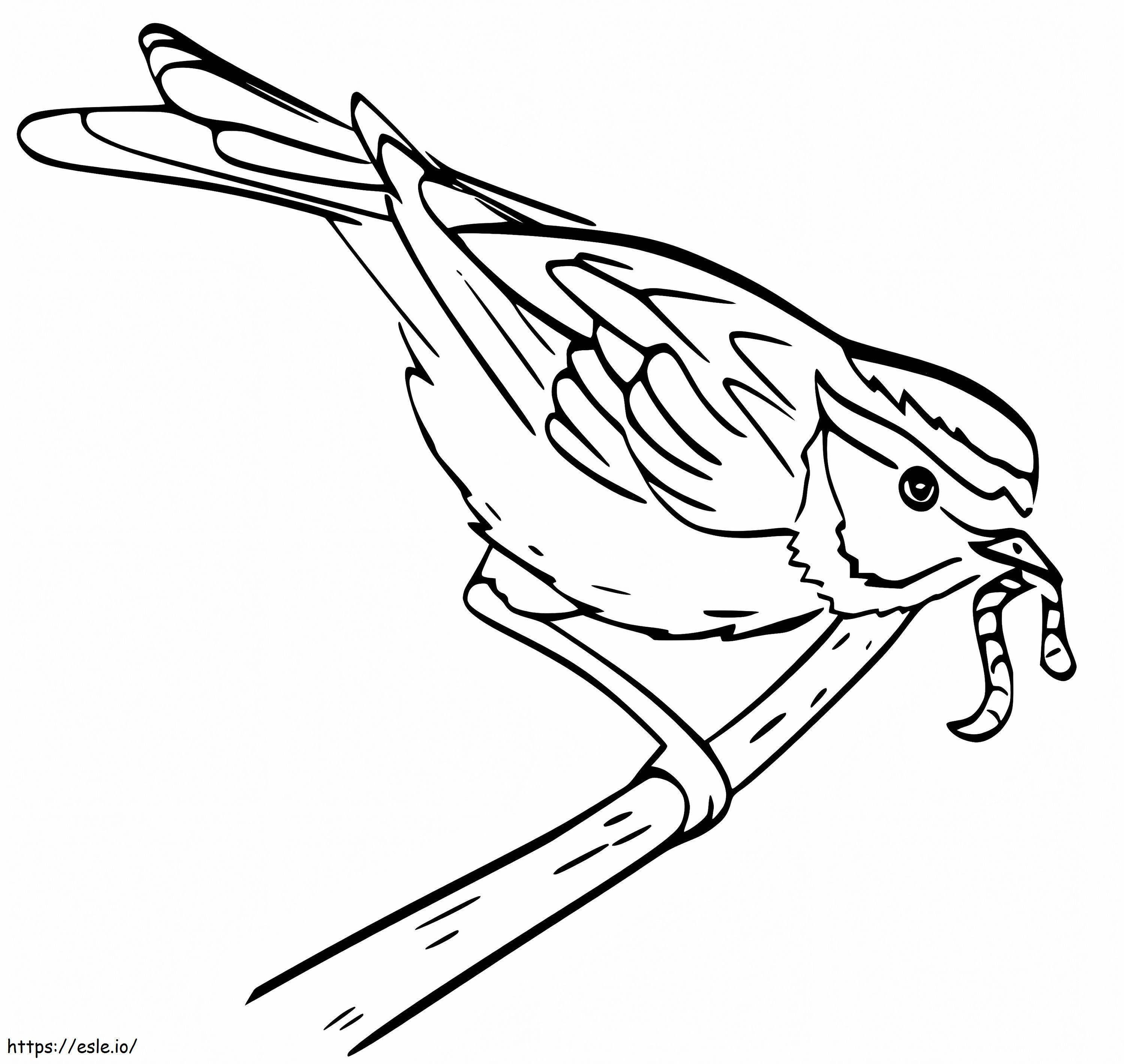 Burung Pipit Makan Cacing Gambar Mewarnai
