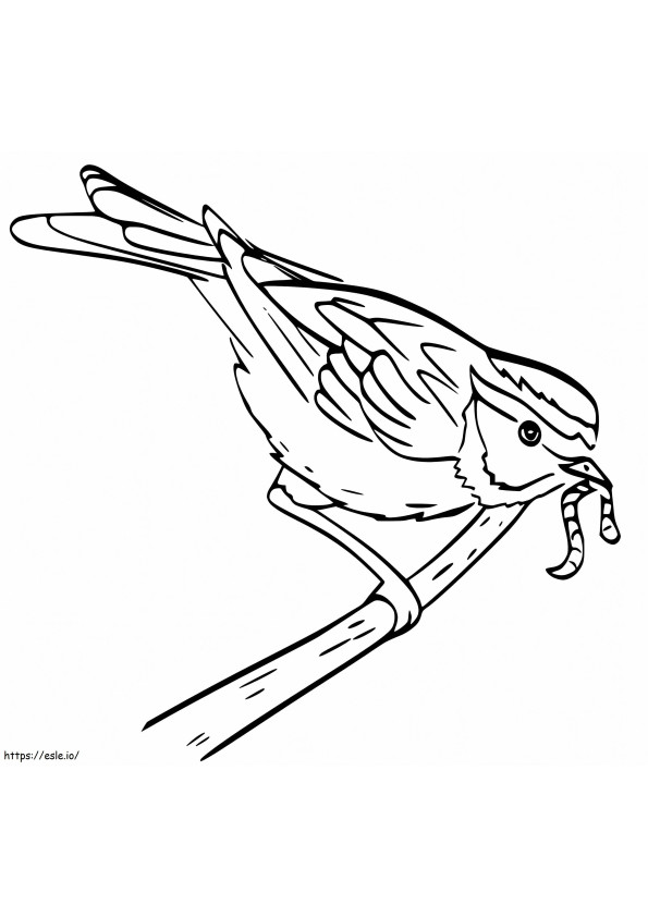 Sparrow Eating Worm coloring page