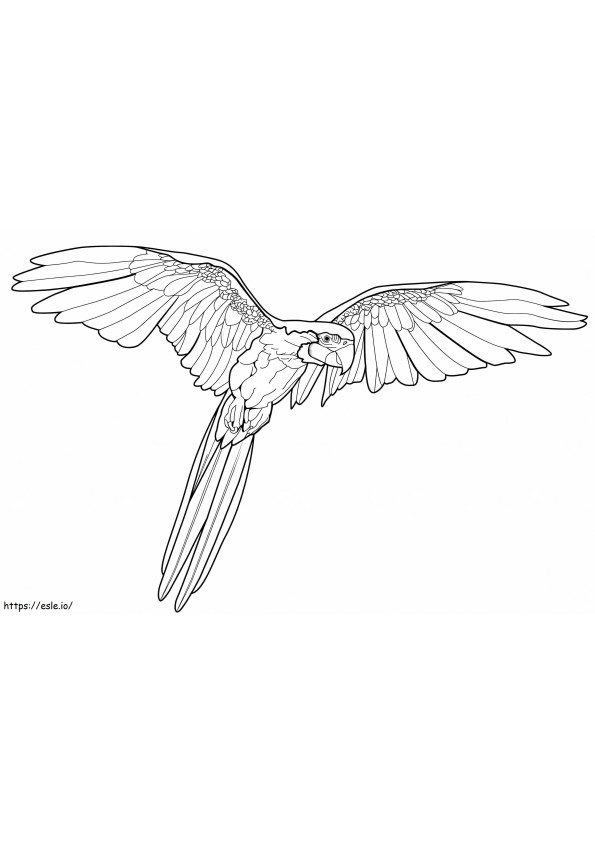 Flying Macaw coloring page