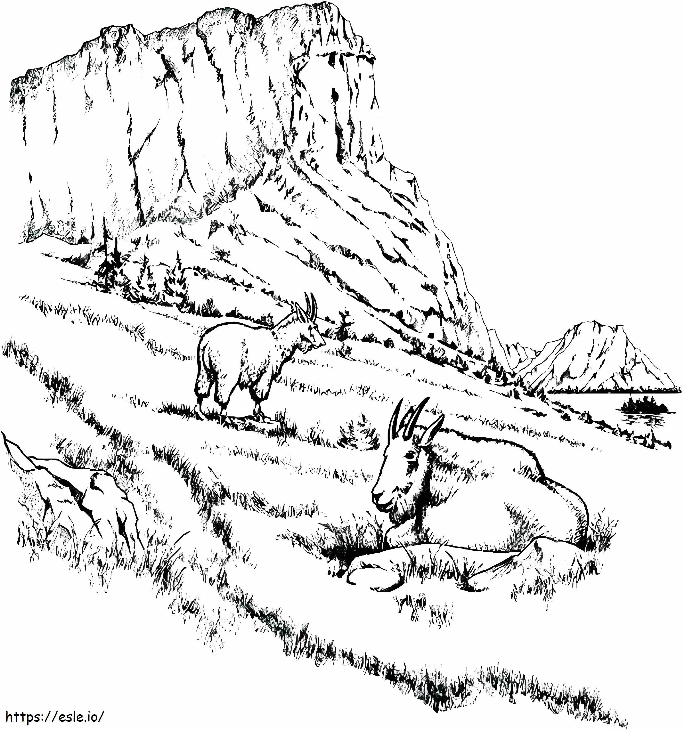 1540180666 Dağlar Dağ Aslanı Sayfa İki Keçi Manzarası Mo Rocky Dağı Dağ Manzarası Boyama Sayfaları boyama