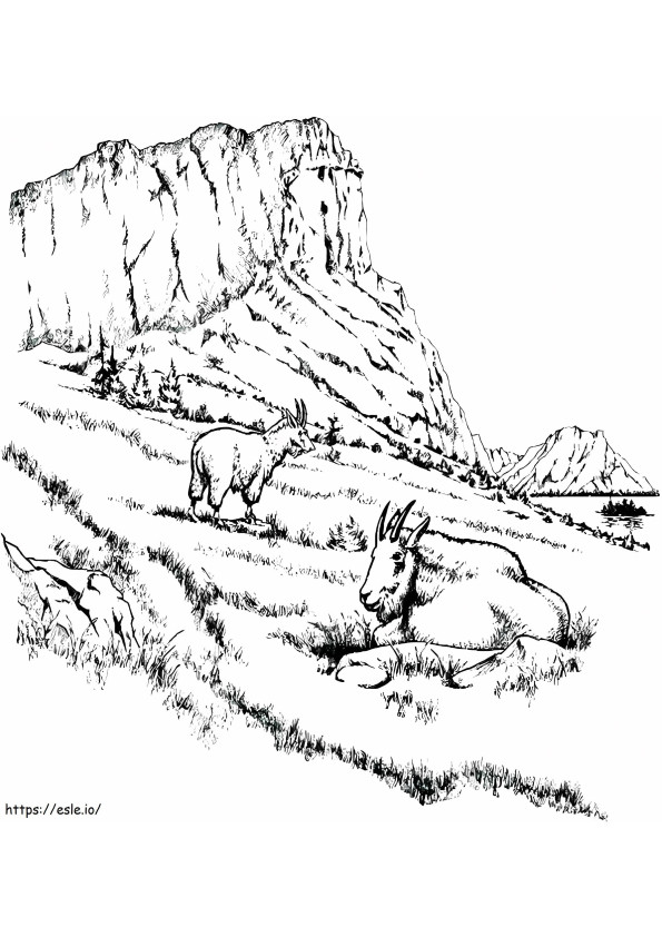 1540180666 Mountains Mountain Lion sivu kaksi vuohi maisema Mo Rocky Mountain Mountain Maisema Värityssivut värityskuva