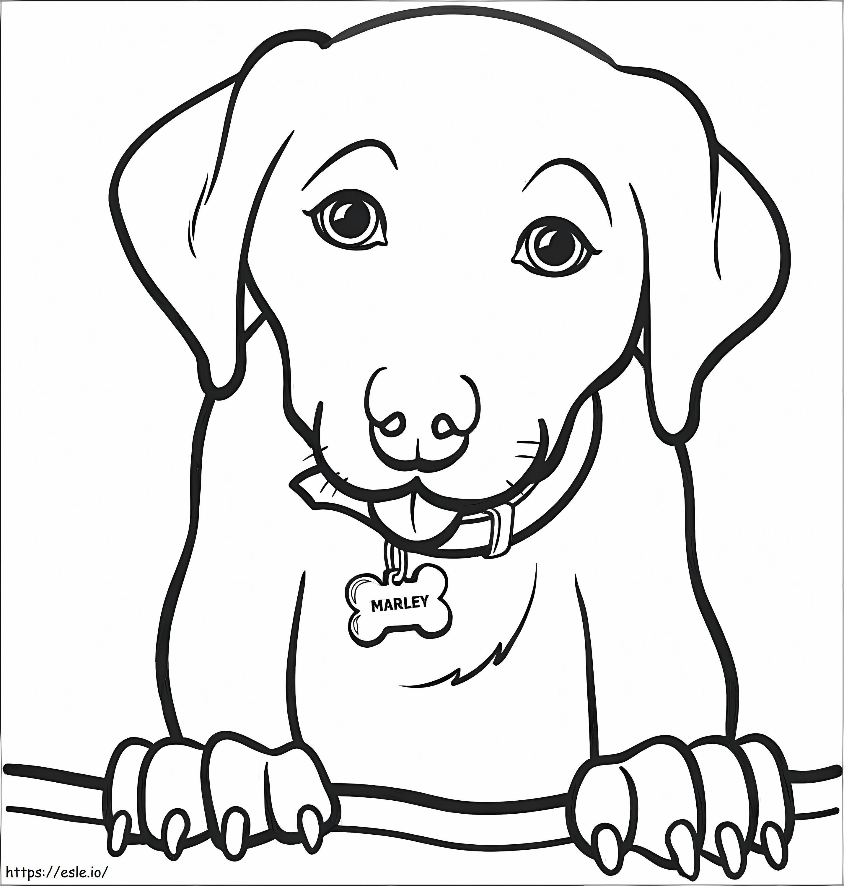 Dog Portrait coloring page