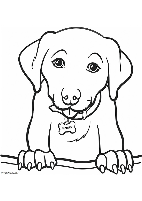 Coloriage Portrait de chien à imprimer dessin