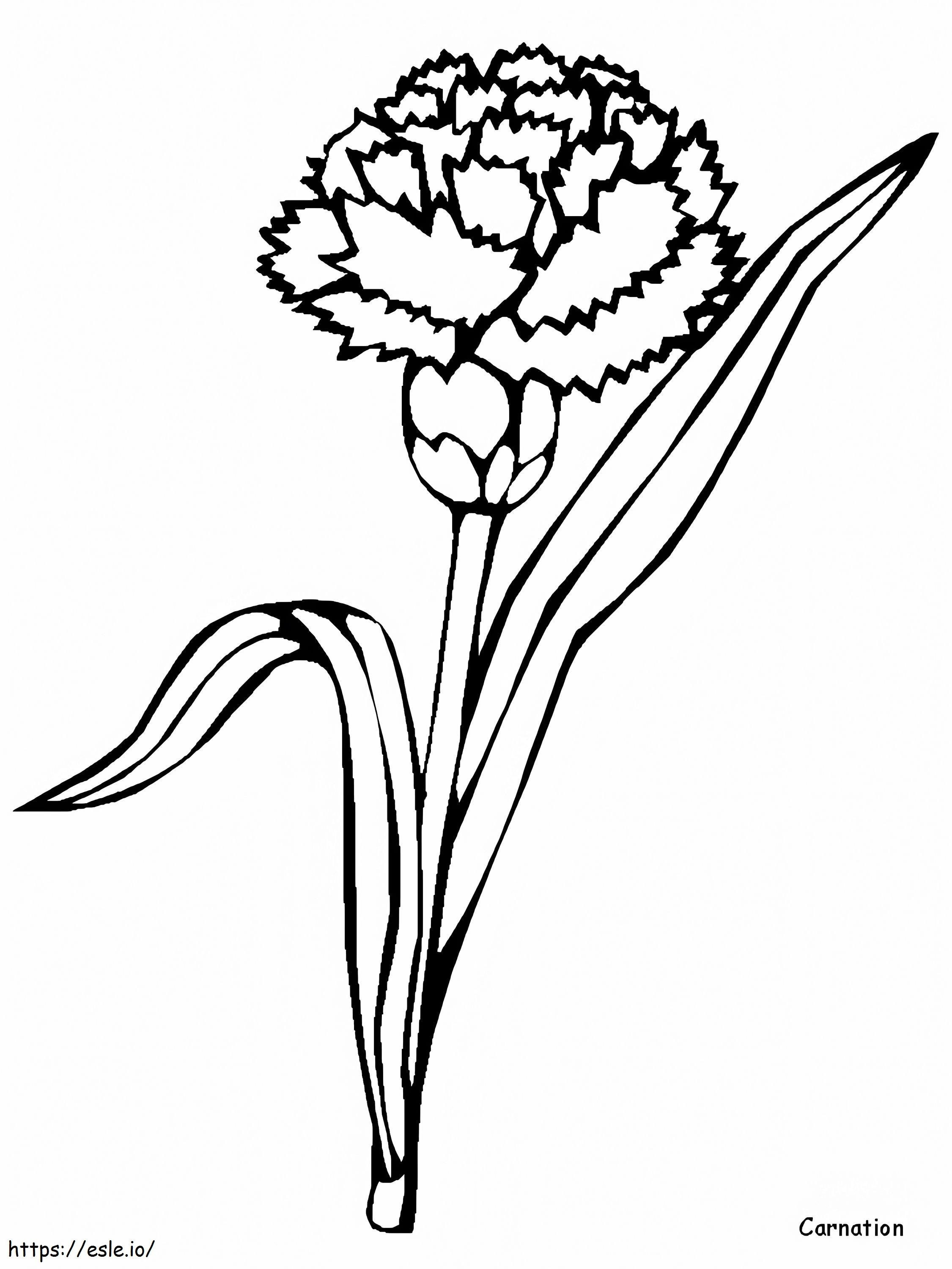 1528167948 Carnation coloring page