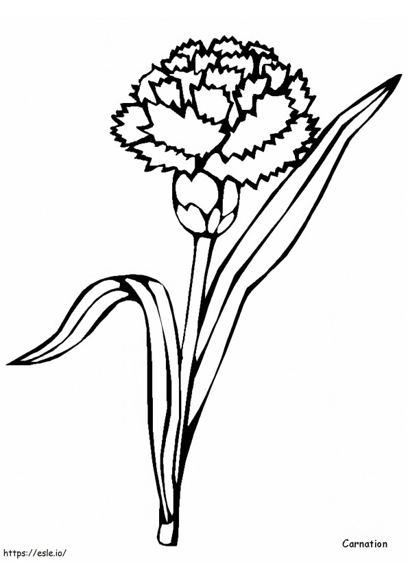 1528167948 Carnation coloring page