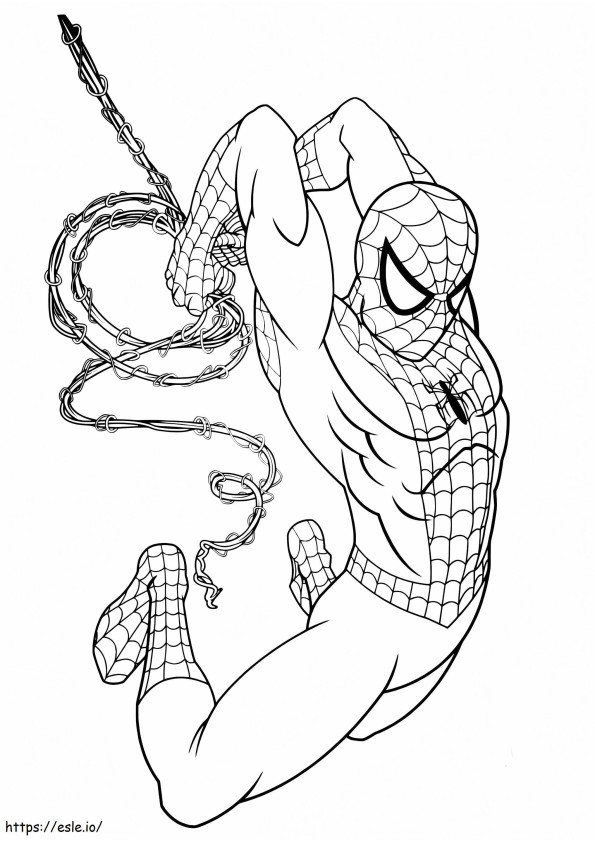 Coloriage Merveilles Spiderman à imprimer dessin
