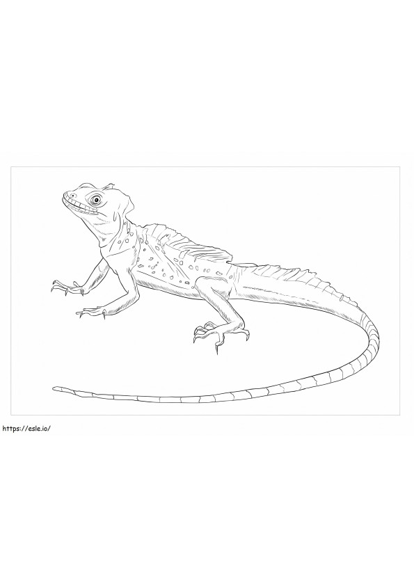 Basilisk Lizard coloring page