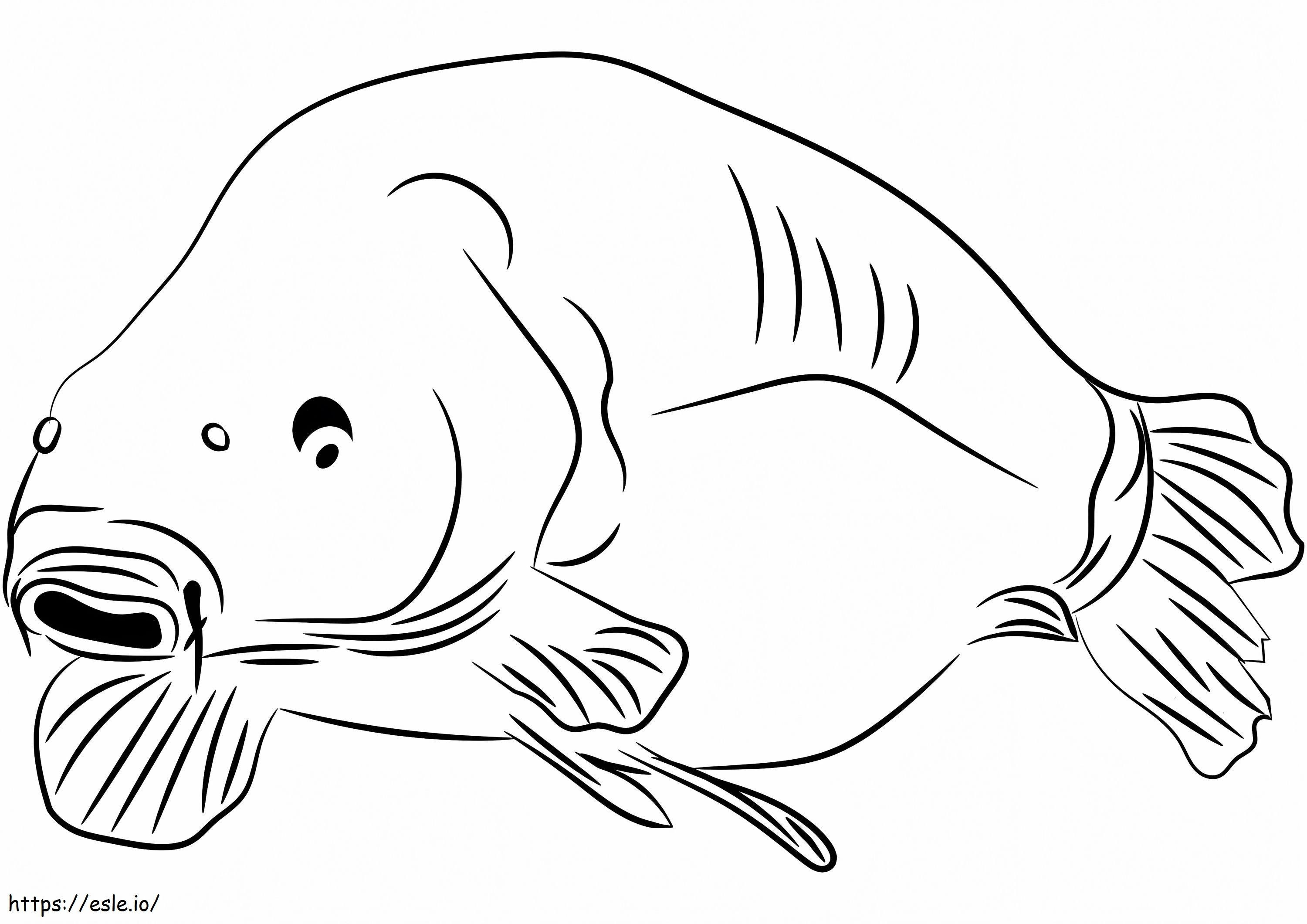 Simple Carp coloring page