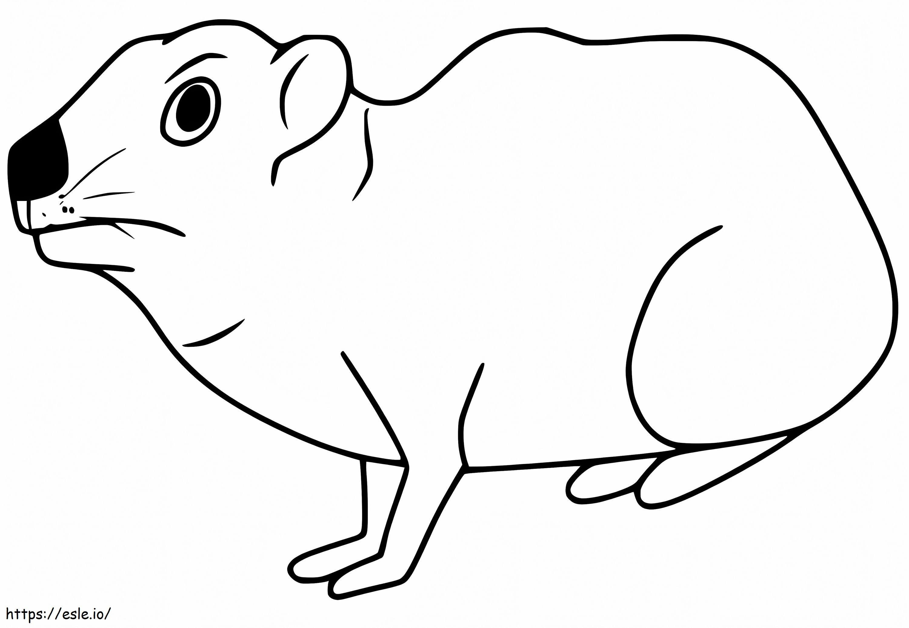 Funny Hyrax coloring page