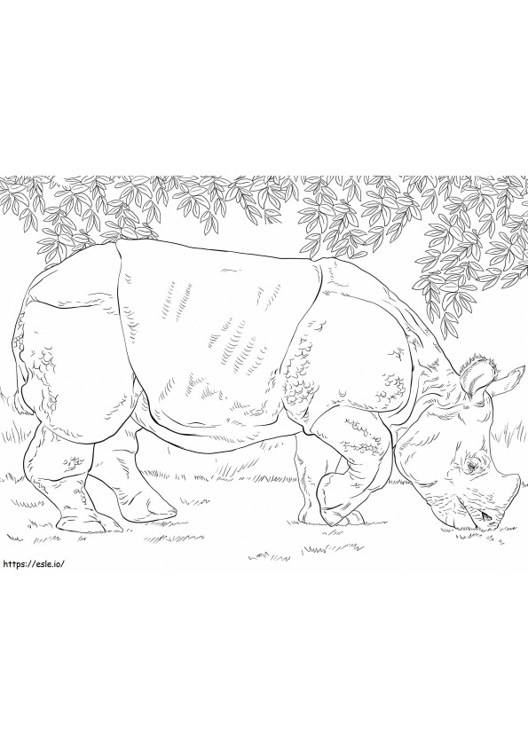 Indisches Nashorn beim Grasen
