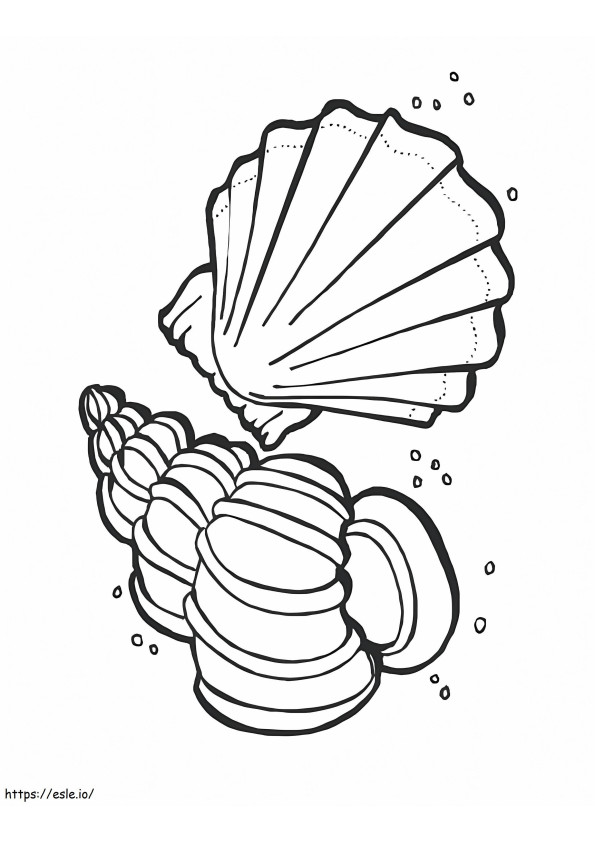 Two Seashells coloring page
