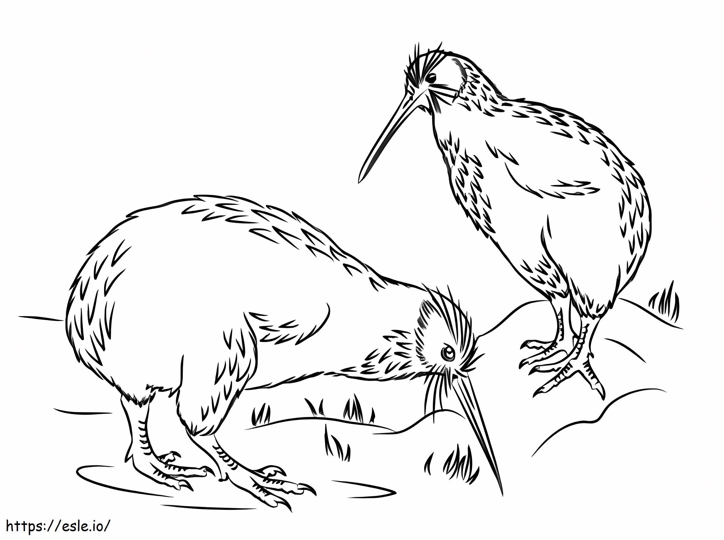 Pájaro Kiwi con Manchas para Colorear