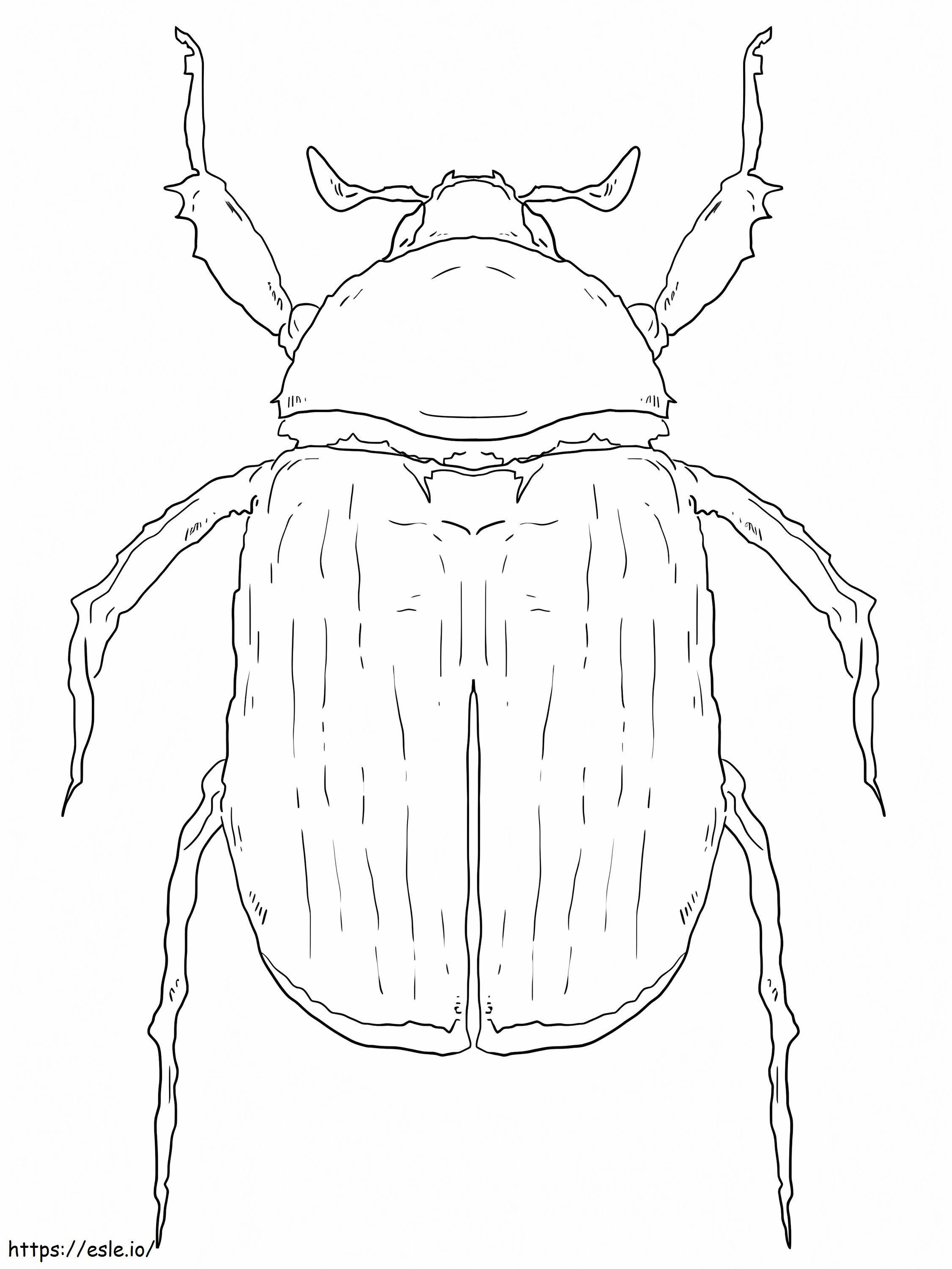 Green Scarab Beetle coloring page