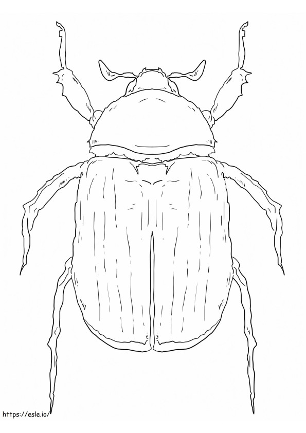 Vihreä Scarab Beetle värityskuva
