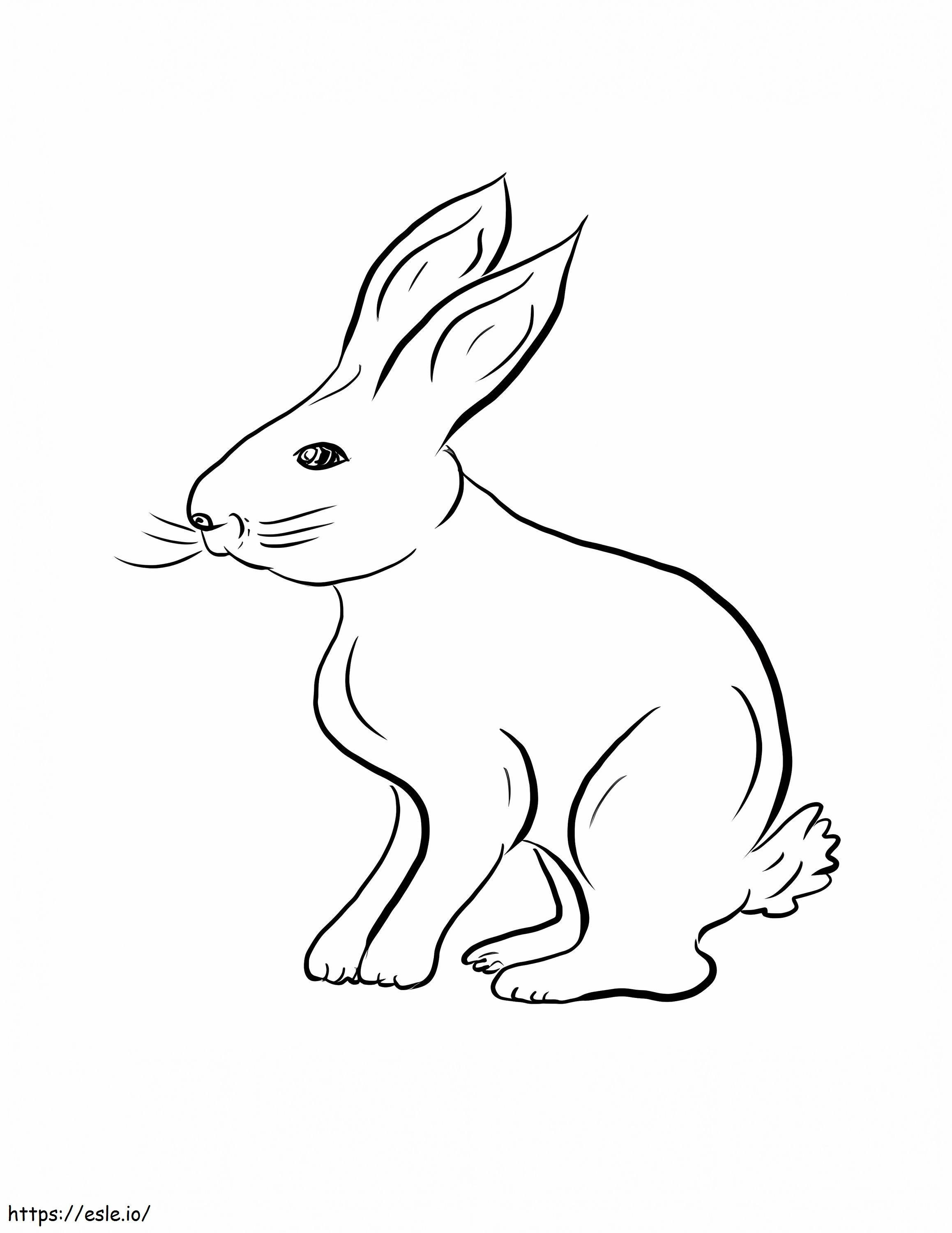 Tavşan Çizimi boyama