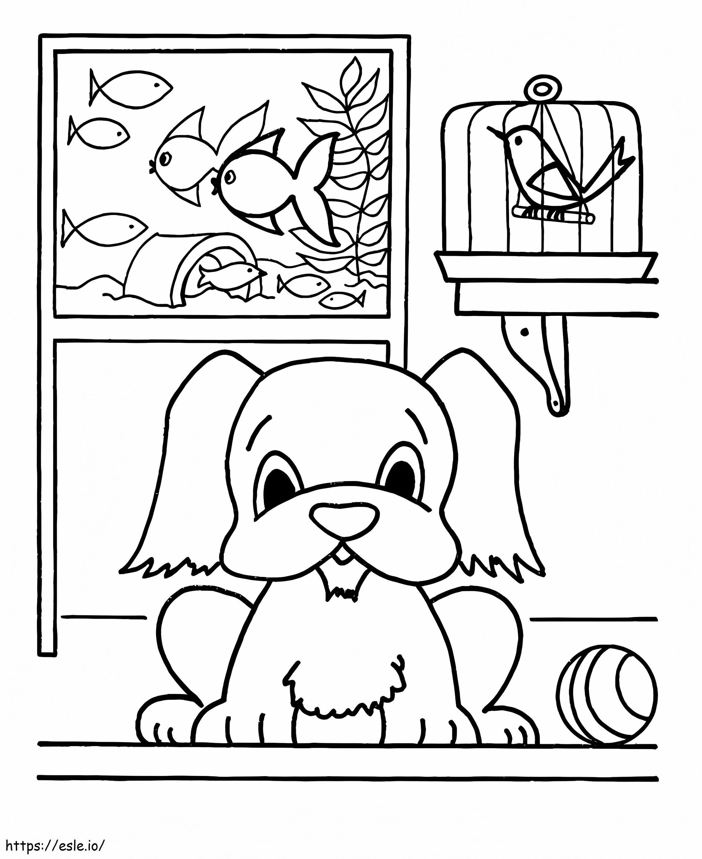 House Pets coloring page
