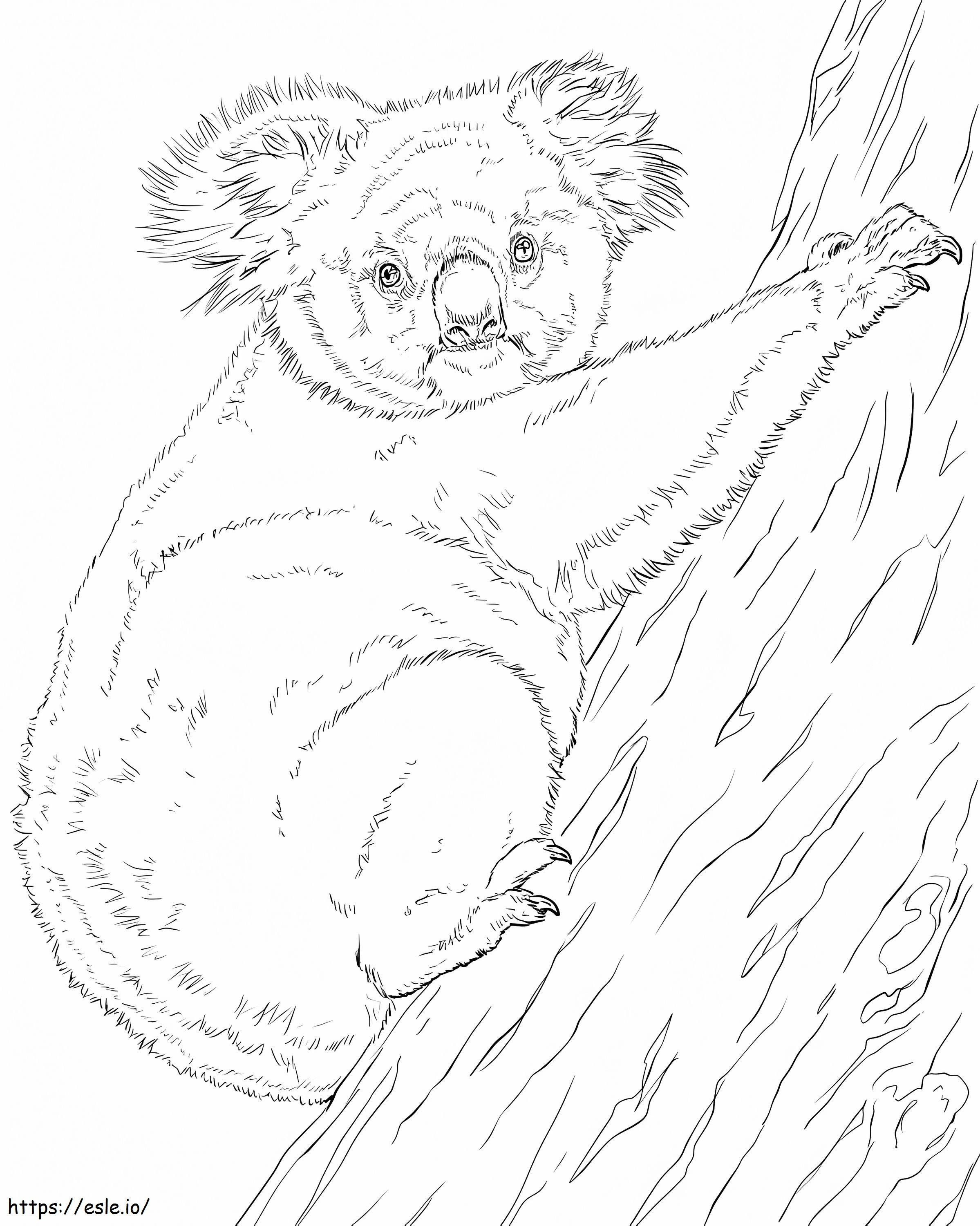 Coloriage 1594343329 Arbre grimpant Koala à imprimer dessin