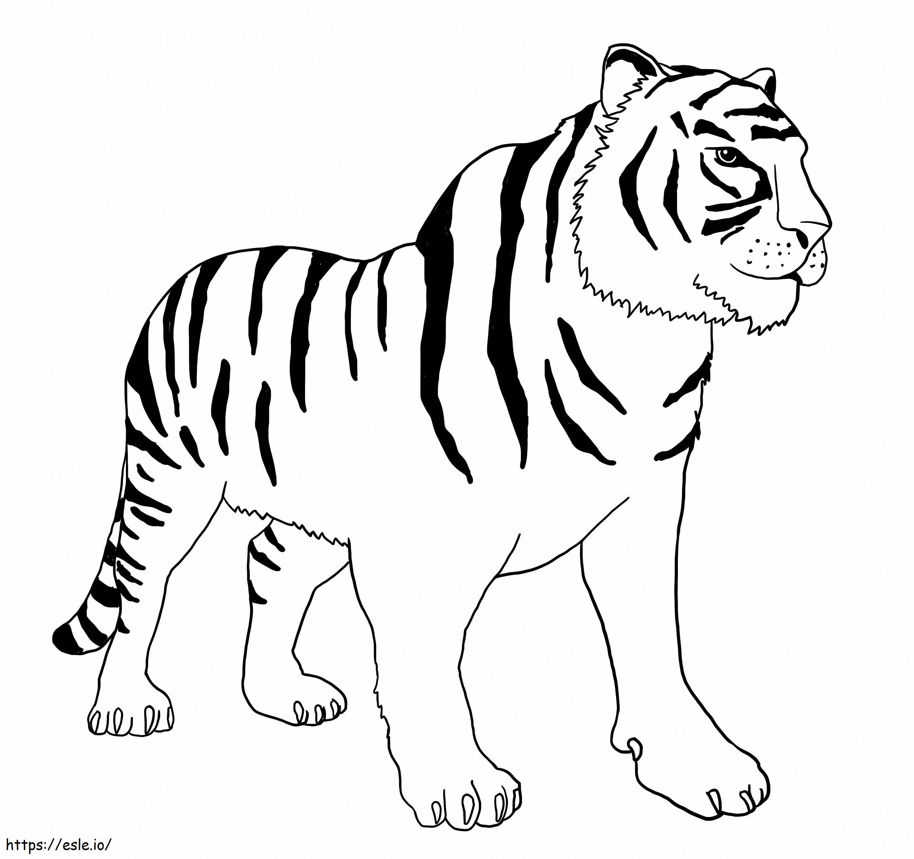 Tigre in piedi 1024X962 da colorare