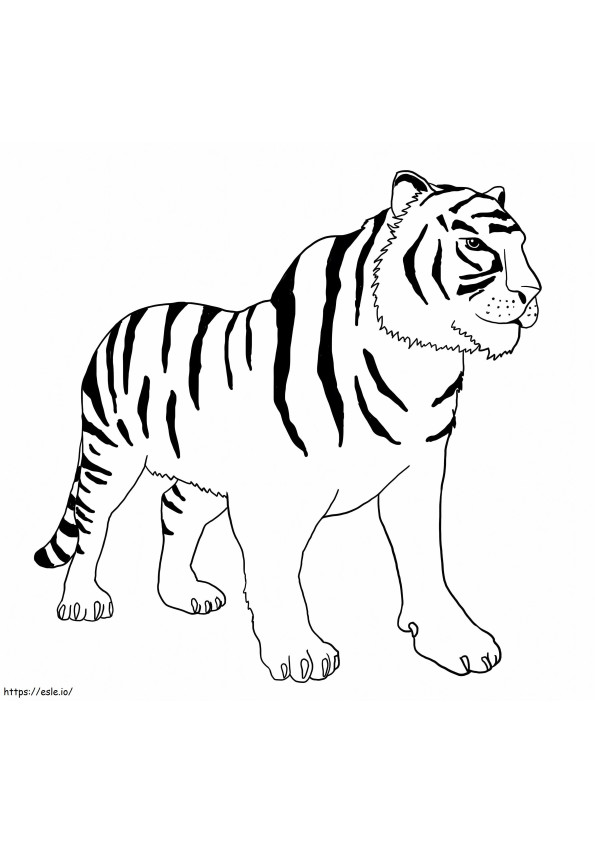Tigre em Pé 1024X962 para colorir